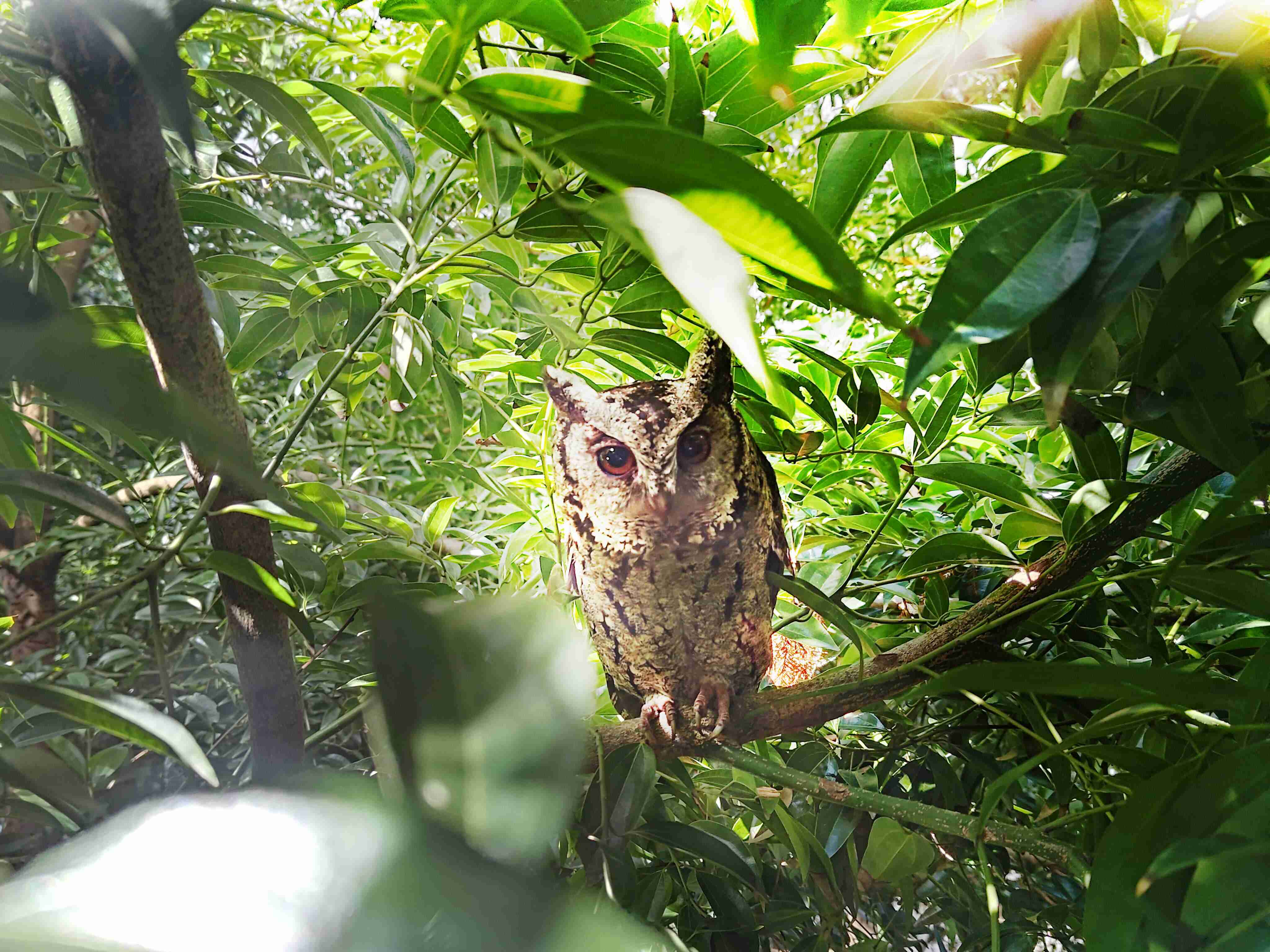 尊时凯龙致力提倡净零绿生活，，，16年以来在全球各厂区植树逾百万棵，，造就各厂区树木蔚然成林，，，犹如森林工厂，，，，成为许多生物的栖息地